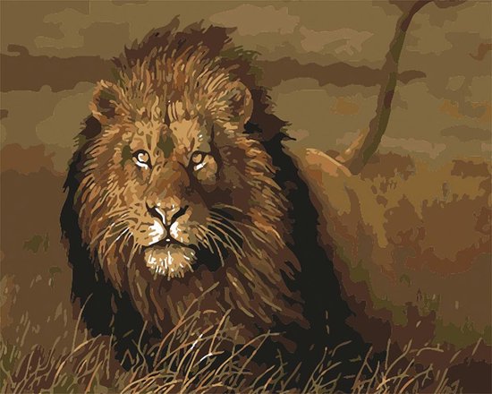 Schilderen op Nummer Volwassenen | Leeuw | Paint by Number Volwassenen