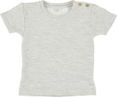 Trixie T-shirt Powder Stripes Katoen Grijs Maat 62/68