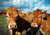 Puzzel | Puzzel dieren | Puzzel 120 stukjes | Puzzel koe | Puzzel volwassenen (liggend)