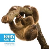 Baby Sloths Calendar 2021