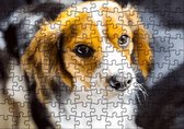 Puzzel hond | Puzzel dieren | Puzzel 120 stukjes | Puzzel honden (liggend)