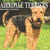 Airedale Terriers
