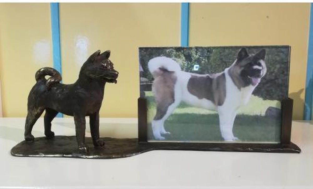 Amerikaanse Akita groot fotolijst verbronsd