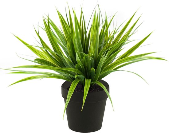 Gras struik kunstplant in kunststof pot 33 Woondecoratie/accessoires -... | bol.com