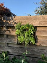 Plantenzak 4x3 - Verticale tuin - Ophangbare plantenzak -  Plantenhanger - Zwart - 12 vakken - 50x50cm