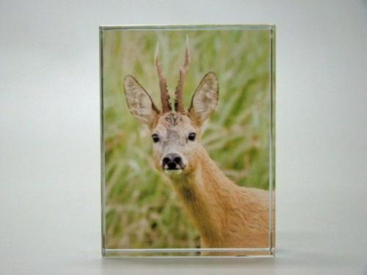 Glasblokje met gravure – 6 x 2 x 8 cm – Decoratief glasobject