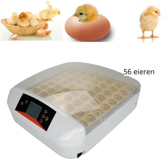 Wonegg Gele trein Broedmachine voor 8 Eieren - - Specialist
