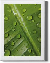 Walljar - Leaf Water Drops - Muurdecoratie - Plexiglas schilderij