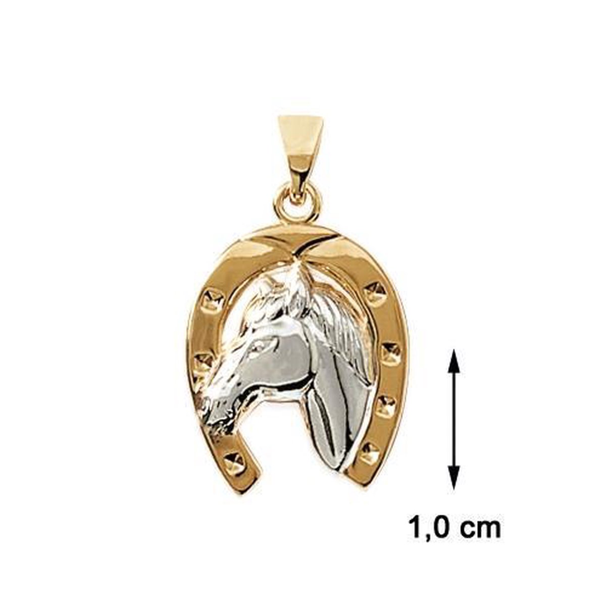 Blinx Jewels Vergulden Hanger Hoefijzer Paard op Prijzenvolger.com