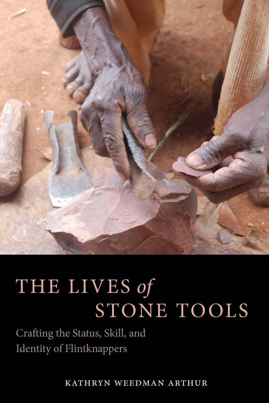 The Lives of Stone Tools - cover