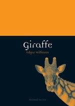 Animal - Giraffe