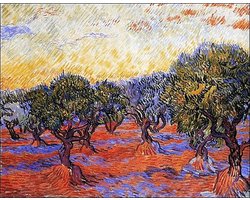 Kunstdruk Vincent Van Gogh - Uliveto 30x24cm