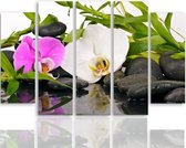Schilderij , Orchideeën  op stenen  , multikleur ,4 maten , 5 luik , wanddecoratie , Premium print , XXL