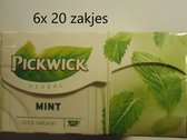 Pickwick thee - Mint -  multipak 6x 20 zakjes