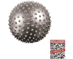 Gymstick Gymstick Pilates bal met Trainingsvideo's