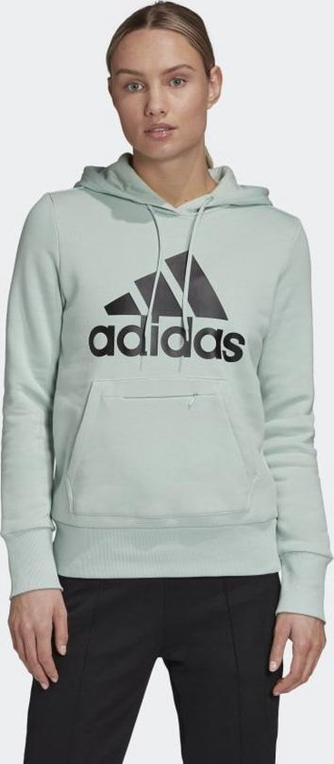 Adidas Dames Pullover Hoodie - Maat S | bol.com