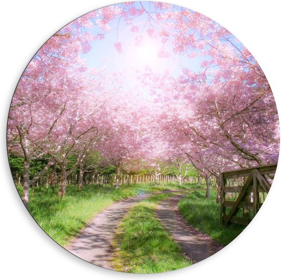 Dibond Wandcirkel - Zandpad tussen de Roze Bomen  - 80x80cm Foto op Aluminium Wandcirkel (met ophangsysteem)