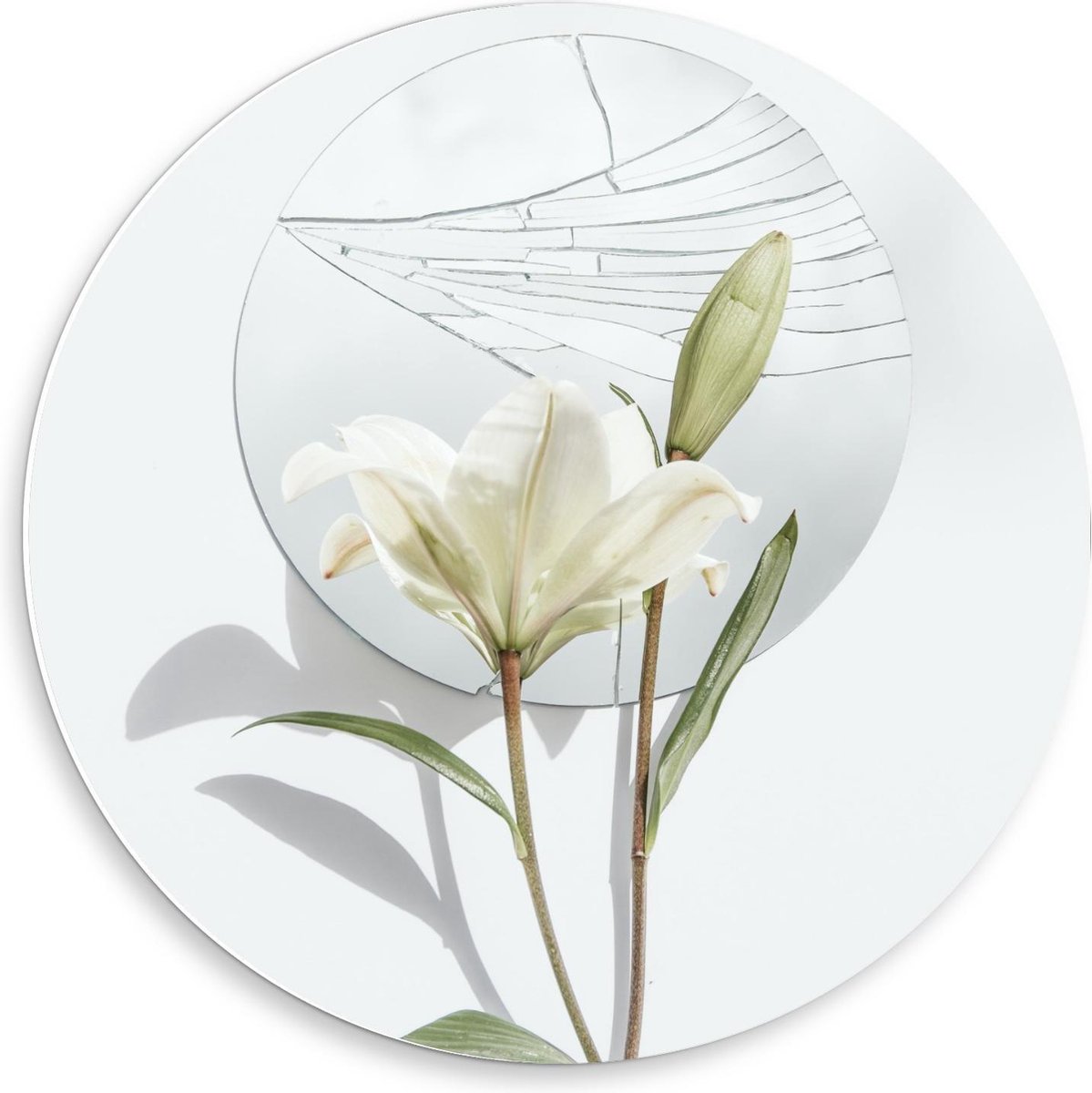 KuijsFotoprint Forex Wandcirkel - Schildering van Bloem op Witte Achtergrond met Rondje - 50x50cm Foto op Wandcirkel (met ophangsysteem) Groen
