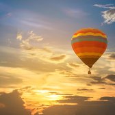 Bongo Bon - SPECTACULAIRE BALLONVAART VOOR 1 PERSOON - Cadeaukaart cadeau voor man of vrouw