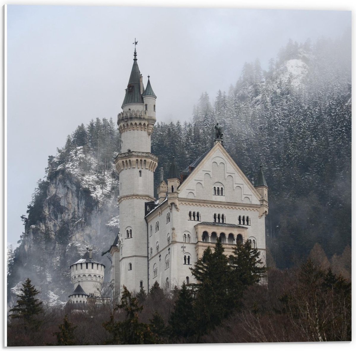 Forex - Duits Kasteel - 50x50cm Foto op Forex