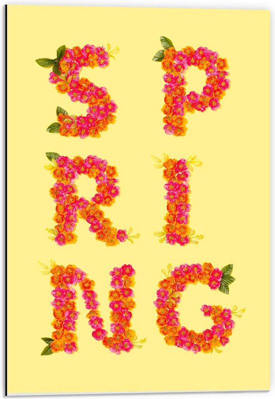 Dibond - 'SPRING' Bloemen Letters - 40x60cm Foto op Aluminium (Wanddecoratie van metaal)