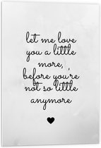 Forex - Tekst: ''Let Me Love You A Little More Before You're Not So Little Anymore'' Grijs/zwart - 60x90cm Foto op Forex