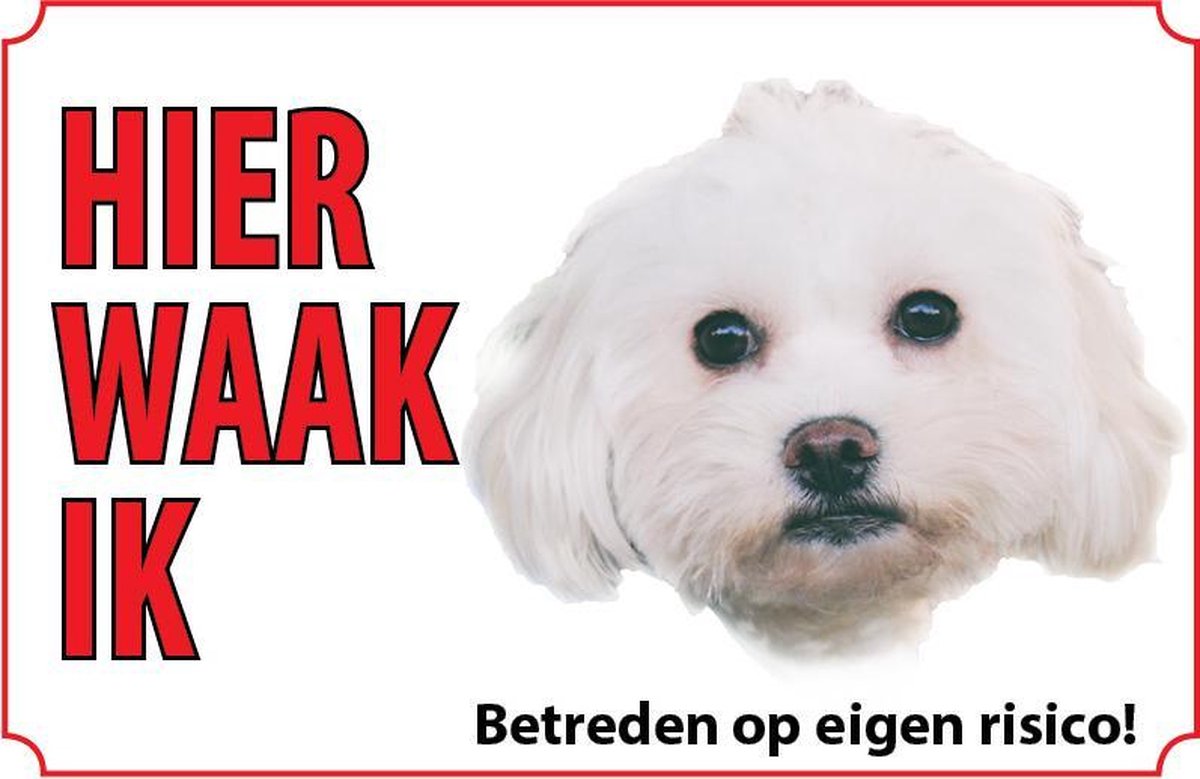 Bord Maltezer
