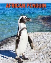 African Penguin
