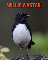 Willie Wagtail