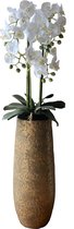 Levensechte Kunst Orchidee / Phalaenopsis plant 75 cm met zwarte pot ( 5-taks vol bloemen) kleur Wit - Kunstplant