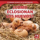 ?Como Eclosionan Los Huevos? (How Eggs Hatch)