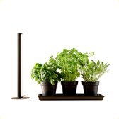 Kruidentuin | Kweekset met Groeilamp | Binnentuin met Led verlichting | Kruiden kweken | Herb Kit