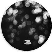 Forex Wandcirkel - Lampjes (zwart/wit) - 60x60cm Foto op Wandcirkel (met ophangsysteem)
