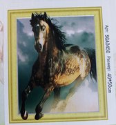 Diamond painting framed 40x50cm - Paard