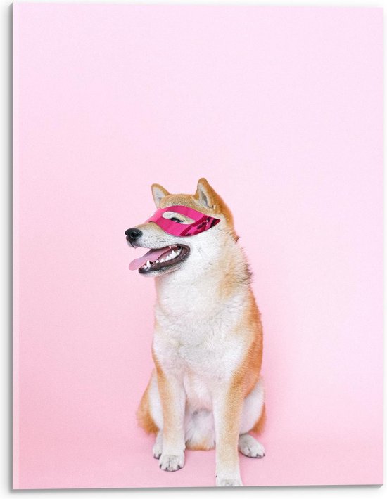 Acrylglas - Hond met Roze Masker Op - 30x40cm Foto op Acrylglas (Met Ophangsysteem)