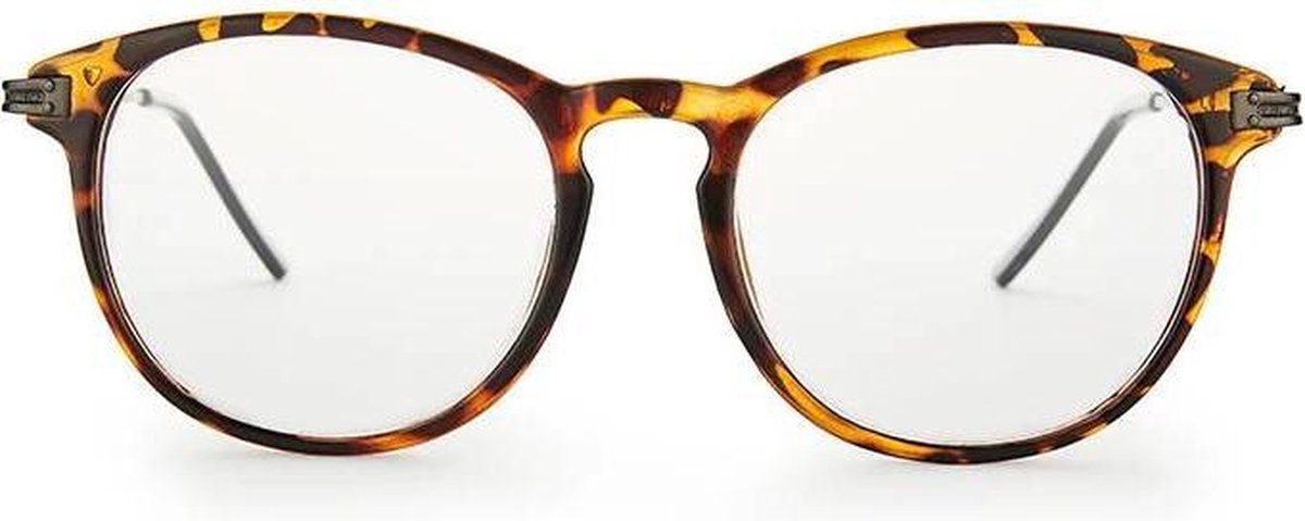 Nordic Vision leesbril Nassjo +2.50