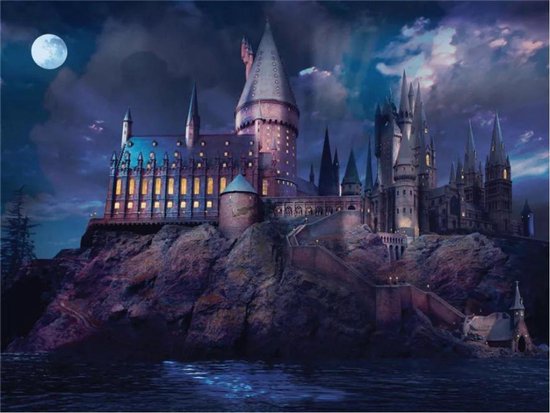 Fat Joe Puzzel 1000 stukjes Hogwarts by Night - Zweinstein in de nacht - Harry  Potter... | bol.com