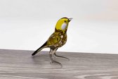 Koolmees Glazen Vogel - glasbeeldje - glassculptuur - Vogel - Vogels - Vogeltjes - vogel van glas