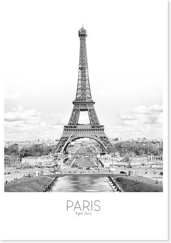 Kangoeroe voor de helft Blaast op Schilderij Eiffeltoren Parijs, 4 maten, zwart/wit | bol.com