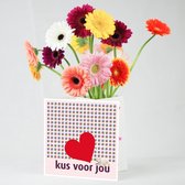 Bloomincard Germini - Kus voor jou - bloemen en boeketten - Verse Gerbera's met unieke vaas - Kus voor jou met Germini's en speciale kaart die je om kunt toveren tot vaas - in luxe doos vers 