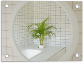 Tuinposter – Spiegel in Badkamer met Plant - 40x30cm Foto op Tuinposter  (wanddecoratie voor buiten en binnen)