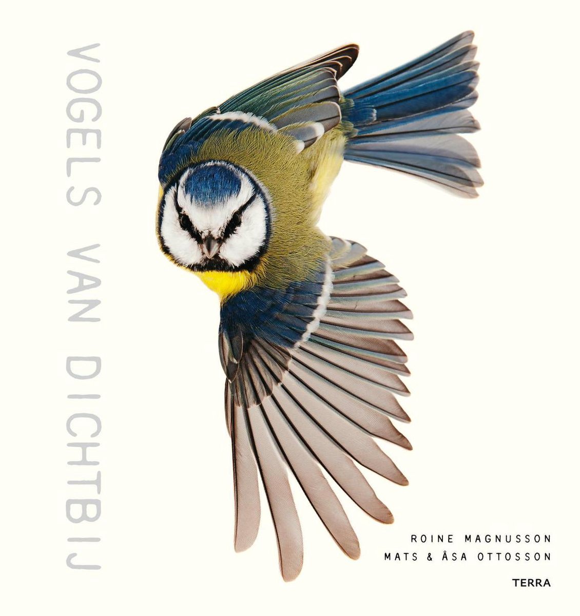 Vogels van dichtbij - Mats Ottosson