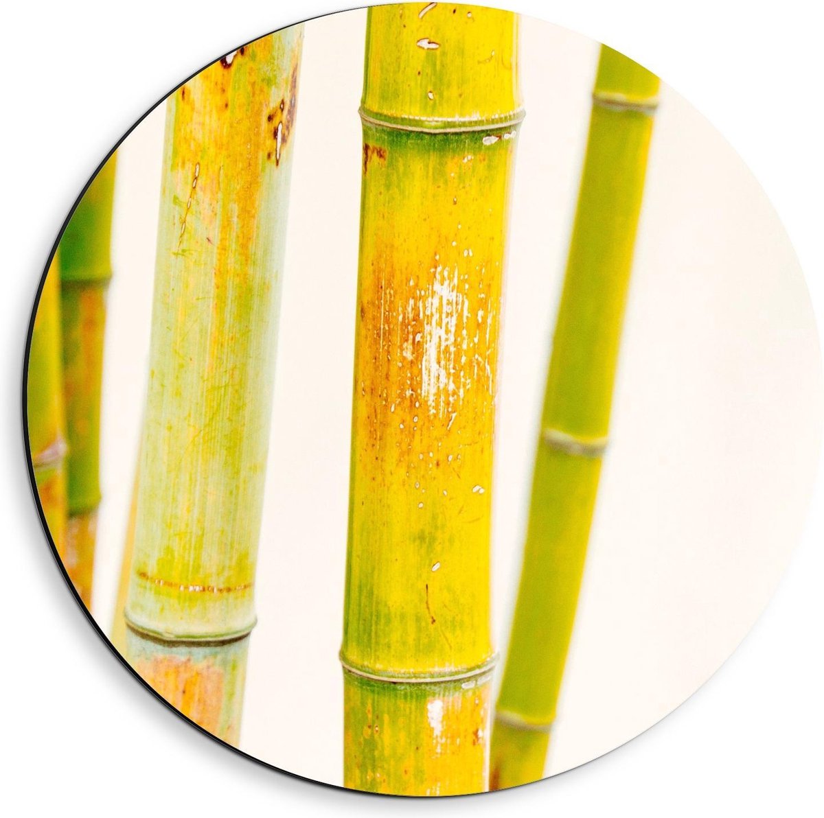 KuijsFotoprint Dibond Wandcirkel - Groene Bamboe Stokken - 40x40cm Foto op Aluminium Wandcirkel (met ophangsysteem)