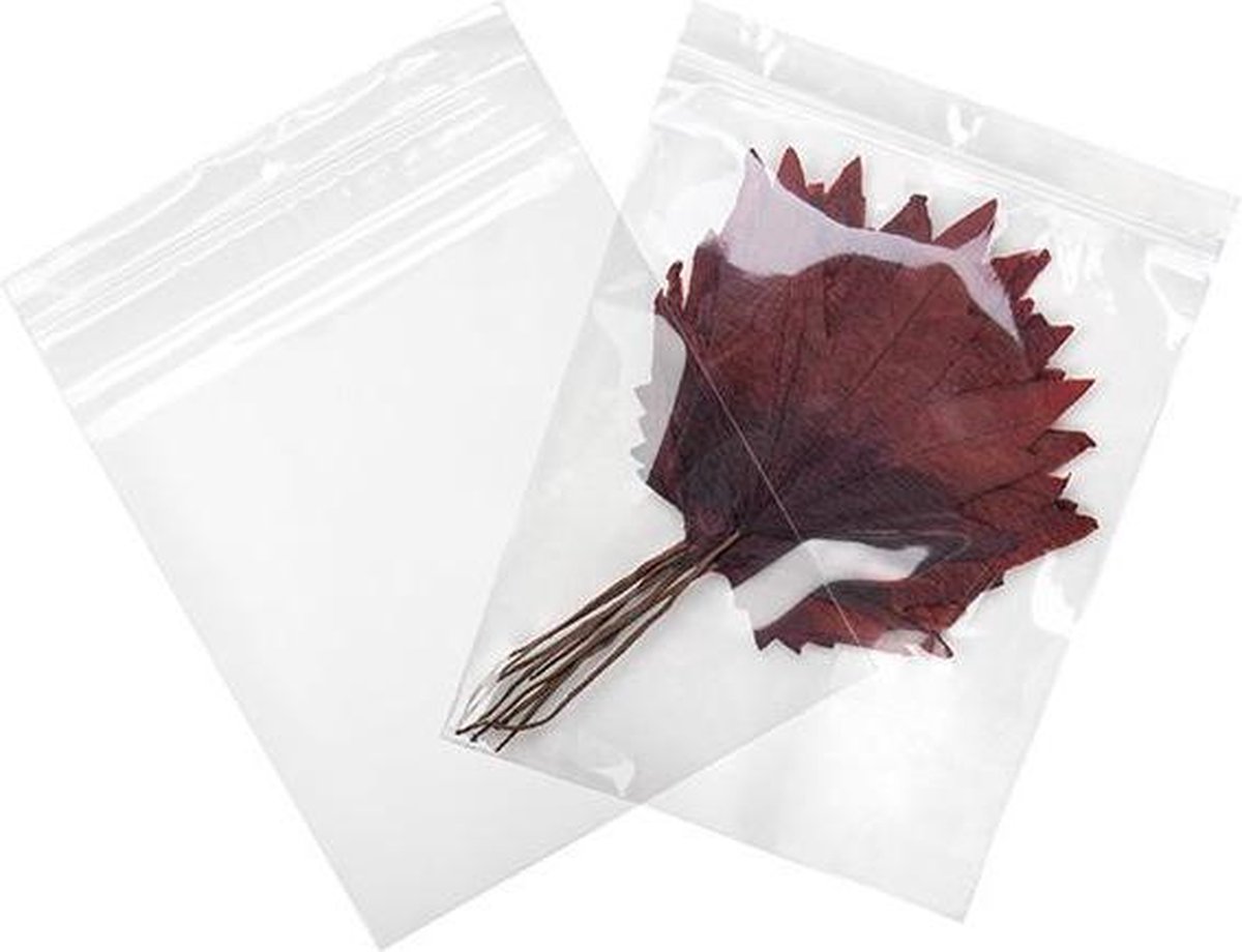 Gripzakken met Ophanggat 20,5x25,5cm75 Micron (100 stuks) | gripzak | ziplock zakken | ziplock zakjes