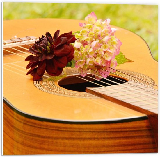 Forex - Gitaar in Grasveld met Bloemen - 50x50cm Foto op Forex