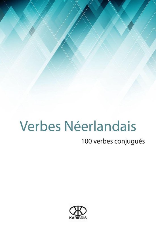 Boek met de titel 'Verbes Néerlandais' en '100 verbes conjugués'. Abstracte blauwe lijnen op de achtergrond.