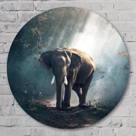 Olifant in het bos - 60 cm Forex Muurcirkel - Dieren - Wanddecoratie - Rond Schilderij - Wandcirkel