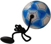 Sportec - Icoach Mini Trainingsbal 3.0 - Blauw