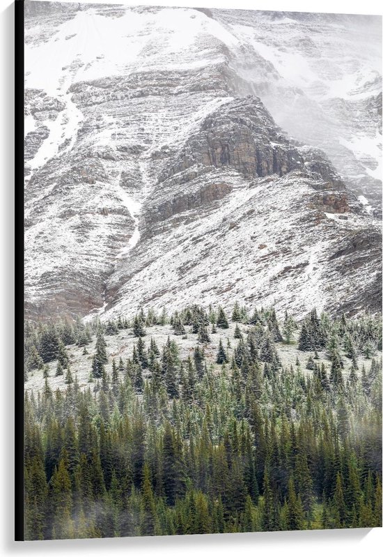 Toile - Montagnes enneigées au bord de la forêt - 80x120cm Photo sur Toile Peinture (Décoration murale sur Toile)
