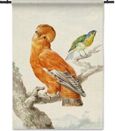 Wandkleed Twee Exotische Vogels - Aert Schouman - 90x130 cm